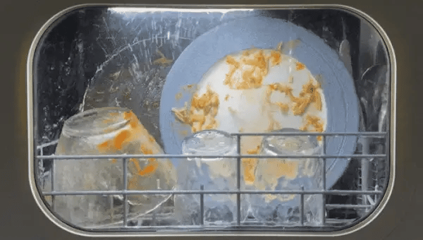 Sparkling Dishes